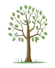 Obraz premium Beautiful green tree vector design, minimalist business for tree icon on white background.