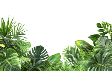 jungle foliage border, in the style of PNG, with a transparent background