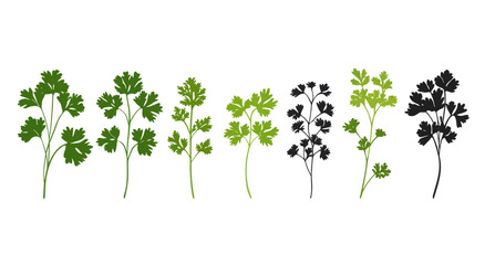 Obraz premium green leaves isolated on white background