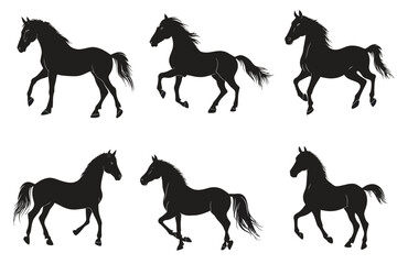 Obraz premium set of horses