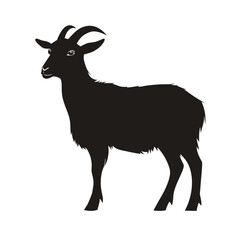 Obraz premium silhouette of a deer