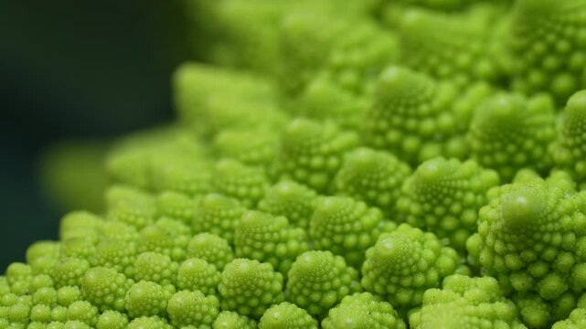 Romanesco broccoli head macro view. Green cabbage, close-up, fibonacci sequence.
