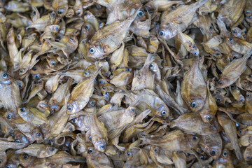 Dried small fish are used in cooking and are rich in calcium.