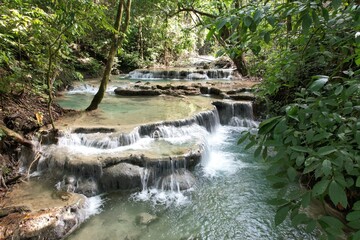 Fototapeta premium waterfall in the forest