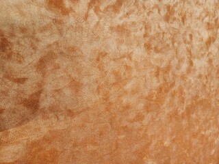 orange carpet, human shoe prints on orange carpet, carpet, carpet texture, carpet image