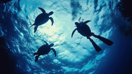 Fototapeta premium Underwater Sea Turtles Silhouette, Scuba Diving, Ocean Depths, Sunbeams