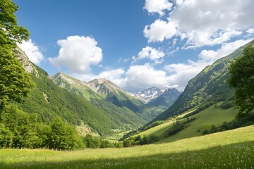 Valley view Mountains, meadow, trees under blue sky with clouds