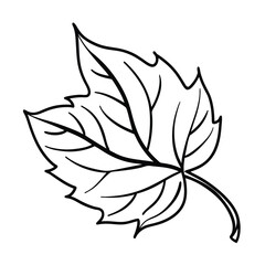 Simple Line Drawing of a Single Autumn Leaf vector art