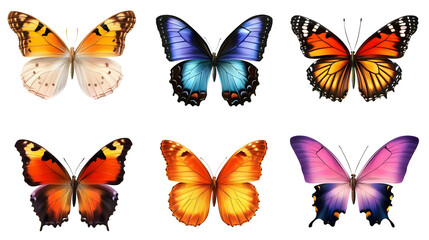 Vibrant butterflies, a kaleidoscope isolated