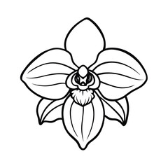 Monochromatic Orchid Flower Line Art Botanical vector art