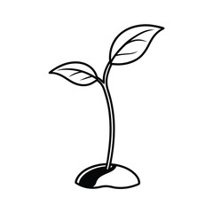 Simple Seedling Sprout Growth Plant Leaves Stem Soil
