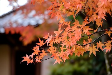 Vivid autumn foliage and building
