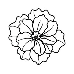 Black and White Line Art Floral Design Single Flower Petals