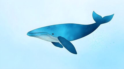 Fototapeta premium Swimming blue whale in the ocean marine life underwater environment serene view nature concept