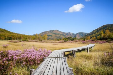 Wooden path crossing a field with mountains and blue sky above