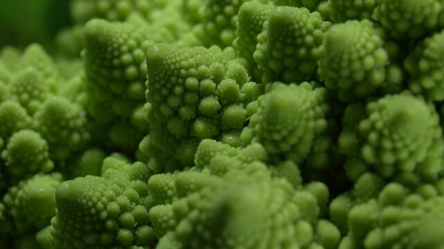 Macro Of Fresh Romanesco broccoli cabbage. Unique cauliflower Fractal Vegetable 