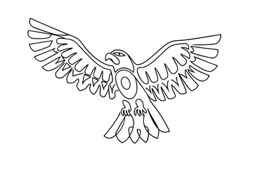 Fototapeta premium Majestic Falcon Bird of Prey Line Art Drawing Illustration