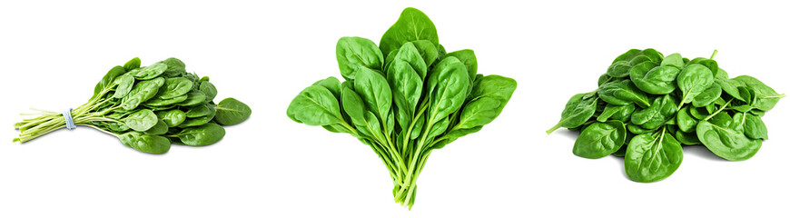 A bunch of fresh green spinach leaves, vibrant and crisp, isolated on a transparent background
