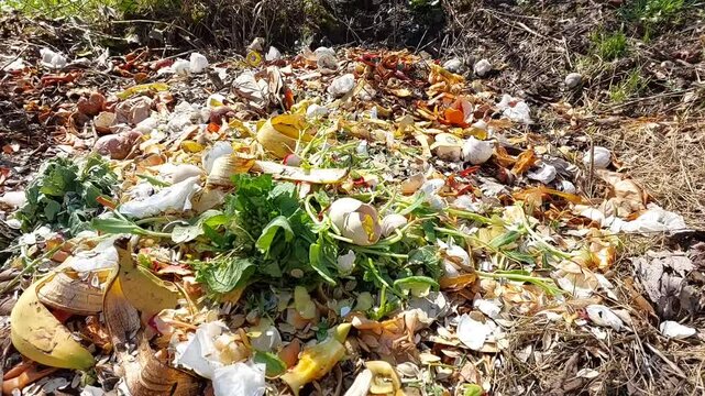 Food Waste Dump Site, Small Composting Pit, Organic Waste Disposal, Biodegradable Trash Area, Natural Decomposition Process