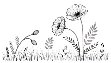 Naklejka premium Poppy flowers in continuous line art drawing style 