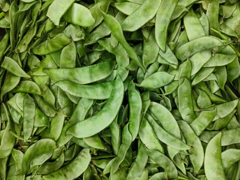 Green Hyacinth Beans, also known as Lablab purpureus or Avarai in Tamil, are a versatile and nutritious legume popular in South Indian cuisine, particularly in Tamil Nadu.