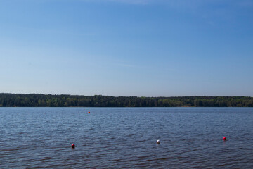 A calm lake with floating buoys under a clear blue sky, surrounded by lush green forest near Stockholm, Sweden.