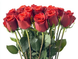 Obraz premium Captivating bouquet of crimson roses against a pristine white backdrop evoking romance passion and elegance in a studio shot