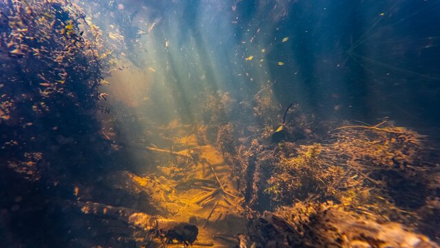 shallow freshwater river Buher in Lityn, fast flow riverbed, sun ray in low visibility dirty water, chlorella green algae bloom underwater, organic silt sediment sand substrate, mud garbage background