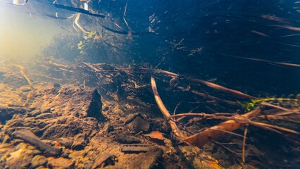 shallow riverbed, fast flow freshwater river Buher in Lityn, sun ray in low visibility dirty water, green algae bloom underwater, organic pebble silt sediment sand substrate, human garbage background