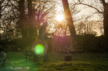 Man cutting firewood at sunset, colorful flares in frame from backlight