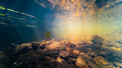 pollution of fast flow river Buher in Lityn, sun ray in low visibility dirty water, shallow...