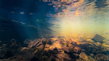 shallow river Buher in Lityn pollution, sun ray in low visibility dirty fast flow riverbed, surface wave reflection underwater, organic silt sediment substrate, pondweed in human garbage background