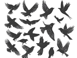 Obraz premium Birds in Flight Silhouette Collection