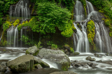 新緑に包まれた吐竜の滝
