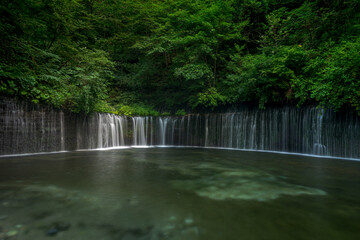 緑の中を流れる白糸の滝
