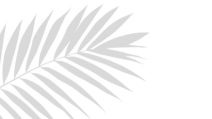 Shades of Serenity: The gentle shadow of a palm leaf dances gracefully, casting a soothing pattern of light and shadow across the space. This evokes feelings of peace and tranquility.