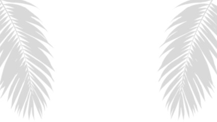 Tropical Leaf Shadow: A captivating composition, showcasing delicate shadows of palm leaves gracefully cast upon the surface. The interplay of light and shadow.