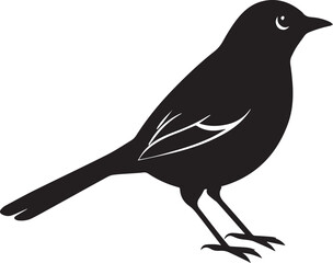 Obraz premium vector illustration of a bird, bird vector isolated on white background full body
