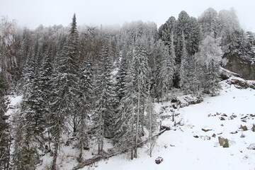 Infrastructure and nature of All-season resort Manzherok is a year-round ski resort in the Altai Republic, located near Lake Manzherokskoye.