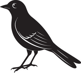 Fototapeta premium vector illustration of a bird, bird vector isolated on white background full body