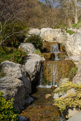 Fototapeta premium waterfall in the forest