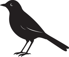 Fototapeta premium vector illustration of a bird, bird vector isolated on white background full body