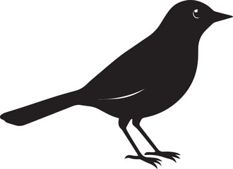 Obraz premium vector illustration of a bird, bird vector isolated on white background full body