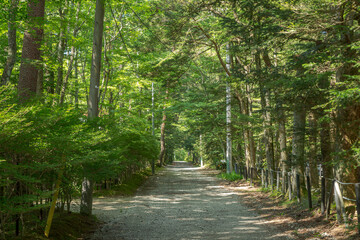 軽井沢の朝の風景
