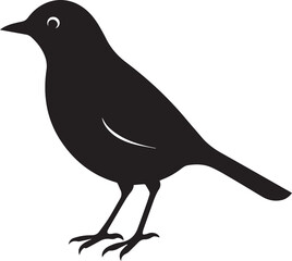 Obraz premium vector illustration of a bird, bird vector isolated on white background full body