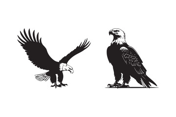 Eagle Silhouette Vector Bald Eagle Clipart Flying Raptor Design