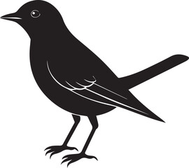 Obraz premium vector illustration of a bird, bird vector isolated on white background full body