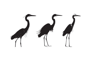 Elegant Silhouettes of Herons A Stunning Art Collection