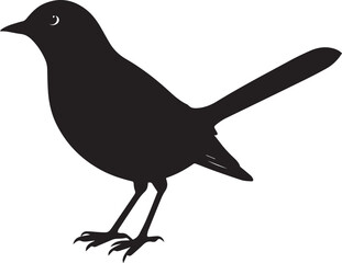 vector illustration of a bird, bird vector isolated on white background full body