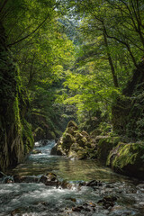 Obraz premium 西沢渓谷の夏の景色 